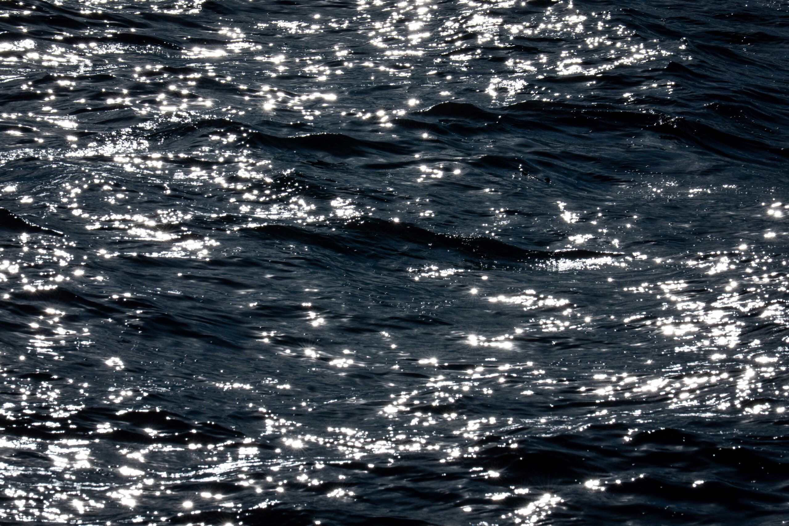 Brillos del Río de la Plata / Glimmerings on the River Plate