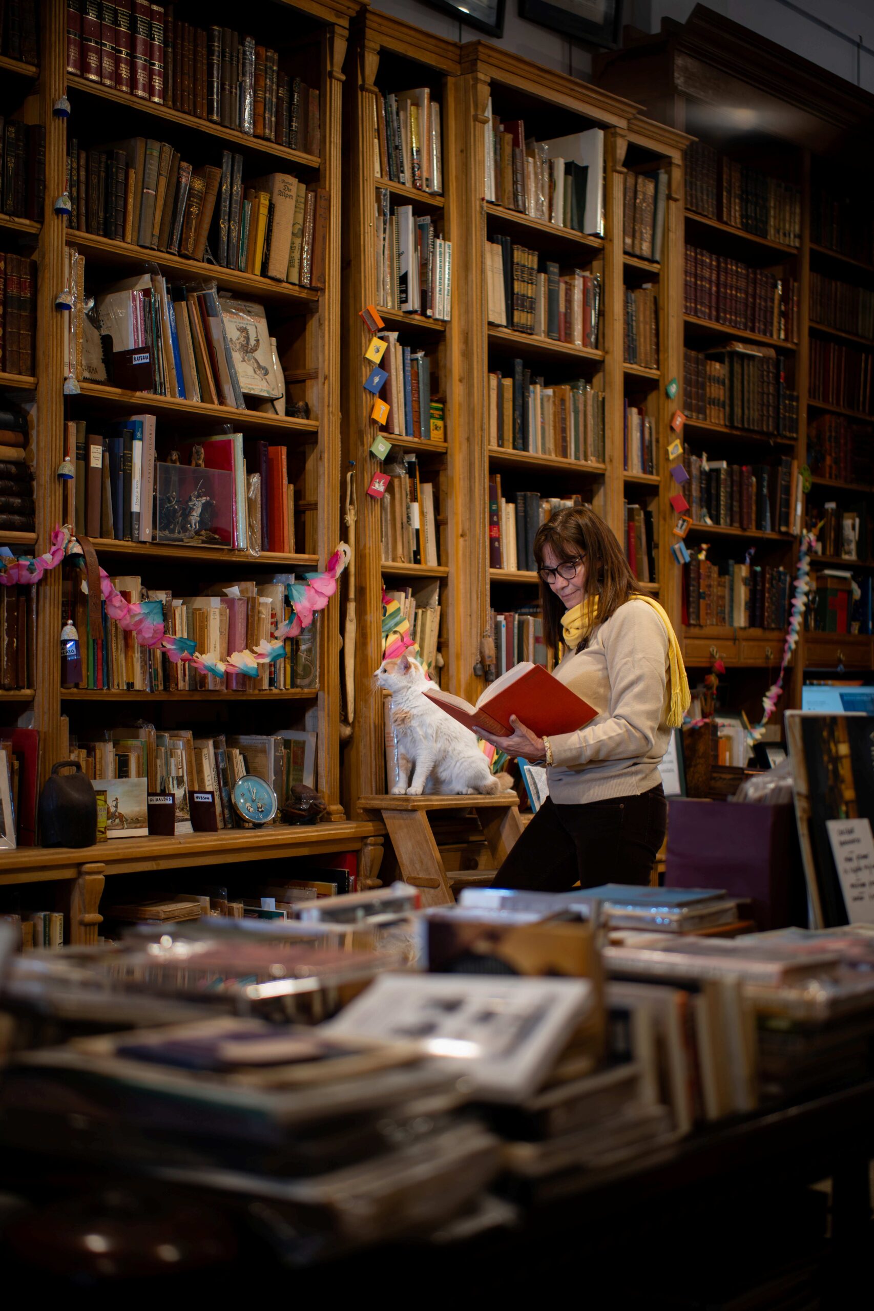 El gato, la mujer y los libros / The cat, the woman and the books