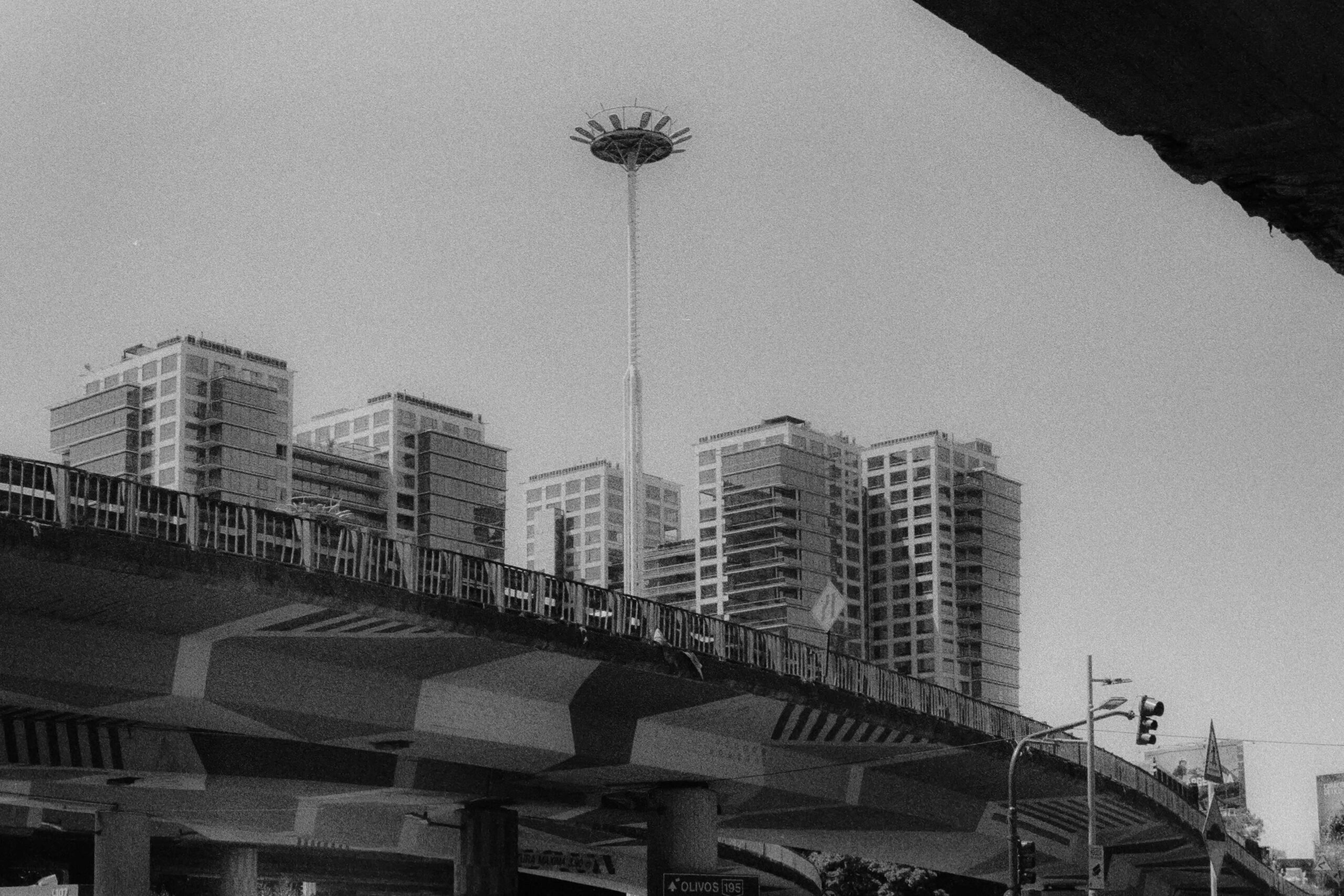 La salida / The outing