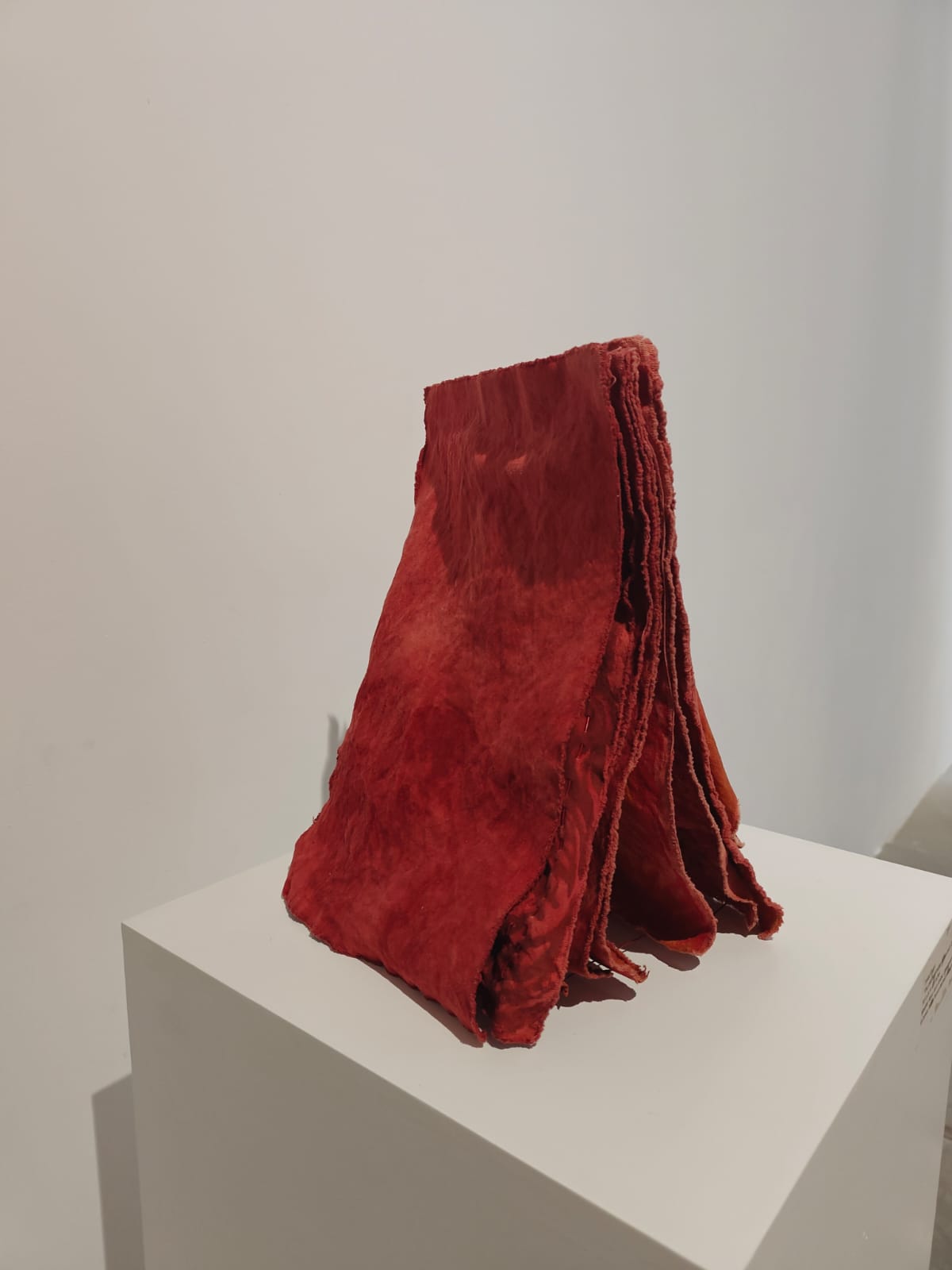 Tinkal Khatri thumbnail